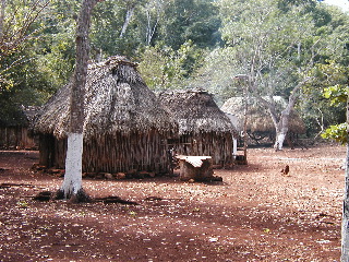 P1010125_3