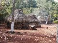 P1010125_3